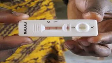 India Saw 28% Reduction In Malaria Cases Last Year: WHO
