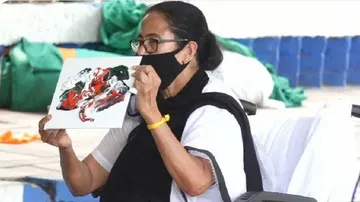 Alone On Wheelchair Staging Protest, Mamata Banerjee Goes On A Painting Spree (SEE PICS)