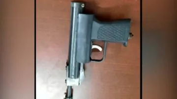 Odisha: Civic Workers Open Fire At Man For Walking Pet Dog In Berhampur Street