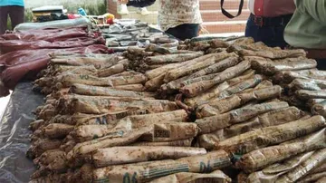 Maoist Explosive Dump Busted On Koraput-Malkangiri Border