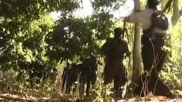 COVID19 Outbreak In Odisha: Maoists Declare Ceasefire