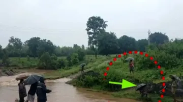 Watch how hope floats in this Odisha village where medicos send medicines using polythene