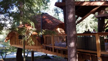 Microsoft builds treehouse offices