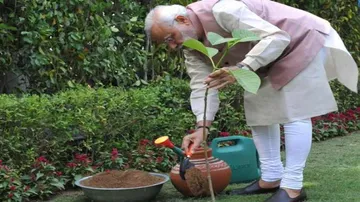Modi pledges for cleaner planet on World Environment Day