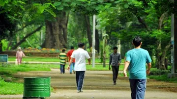 Morning Walk Key To Good Night's Sleep After Heart Bypass Surgery