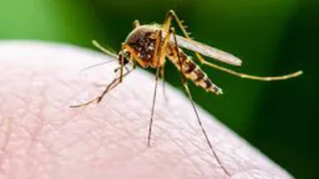 Odisha Govt extends malaria control programme till 2030-31