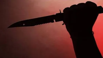 Delhi Shocker: 2 Youths Chased & Killed In Road Rage Case