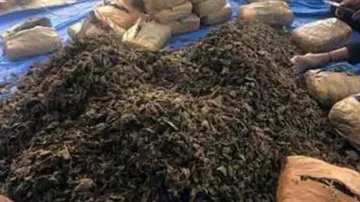Odisha: NDPS body orders seizure of drug peddlers' ill-gotten assets worth Rs 3 cr