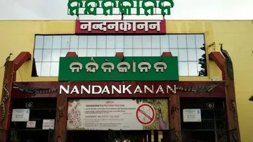 Nandankanan Unlocks Doors For Visitors After Covid Hiatus