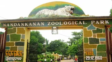 Female Hippo Dies At Nandankanan Amid Herpes Scare