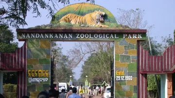 3 Elephants Fall Prey To ‘Herpes Virus’ In 25 Days In Nandankanan Zoo