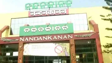 Nandankanan Zoological park reopens for visitors