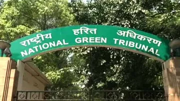 NGT gives time to AP to present case on Polavaram