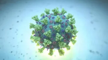 Mutant Coronavirus Scare: UK Returnee Tests Positive In Odisha