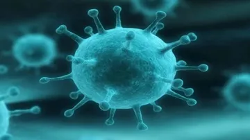 How Nipah infection is different from swine flu, bird flu