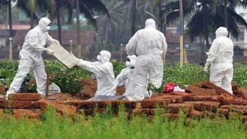 Soldier dies of suspected Nipah virus infection in Kolkata