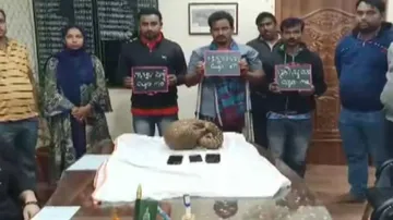 Pangolin Smuggling Racket: 3 Including Kingpin Arrested In Odisha