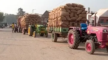 Odisha: ‘Irregularities’ In Kharif Paddy Procurement, Minister Orders Probe