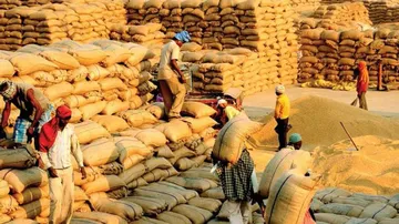Paddy Procurement At MSP: Odisha To Issue Advance Tokens To Registered Farmers