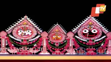 Padma Besha Of Lord Jagannath & Siblings Today