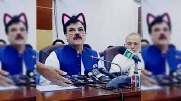 Cat filter accidentally used at Pakistan Ministers' live meet