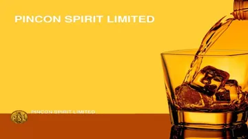 Pincon charts Rs 300 cr capex, to issue $30mn masala bonds