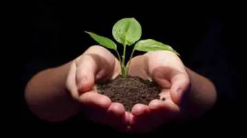 Odisha to plant six crore saplings this monsoon: Patnaik