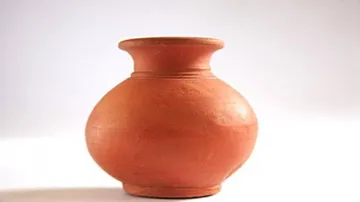 Aama Odisha Party allotted 'pot' symbol