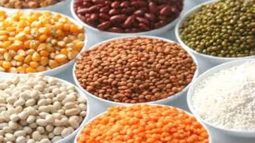 Centre raises MSP for pulses, paddy, cotton; triggers mixed reaction