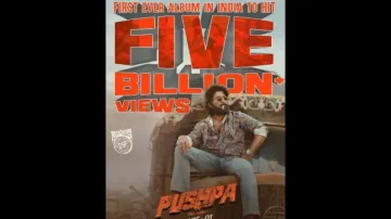 Pushpa breaks record