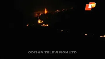 Fire in Rukhi hill forest brought under control