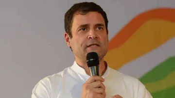 Rahul Gandhi leads by over 1 lakh votes in Wayanad