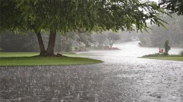 Heavy to very heavy rainfall to lash some parts of Odisha