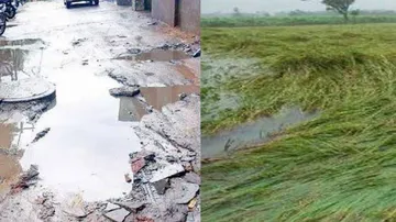 Odisha Govt Asks Collectors To Assess Damage Due To Rain
