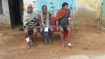 Odisha: Five Persons Including A Woman Injured In Wild Boar Attack In Kendrapara