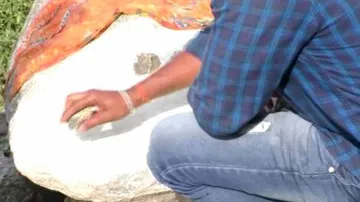'Ringing Rock' Near Banapur Bhagabati Temple Sparks Curiosity