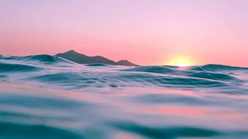 Climate Change Responsible For Record Sea Temperature Levels: Study