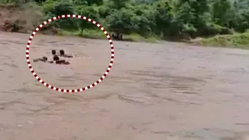 Watch : Anganwadi Workers Cross Flooded River Dangerously To Attend Duty