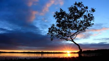 'Lost' Chandrabhaga river found in Odisha