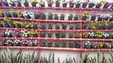 Canvas Of Blossoms: Odia RPF Official Creates Incredible Rooftop Garden