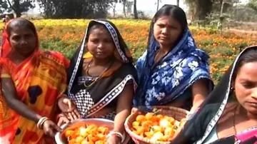Flower cultivation helps women members of SHG to remain self-dependent