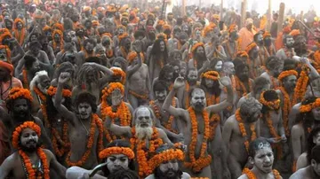 UP sadhus to boycott rock salt imported from Pak