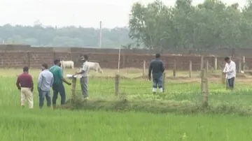 We Welcome Decision To Handover Sarua Land Probe To Income Tax Dept: OTV