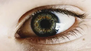 Statins may help prevent scar tissue in eyes: Study