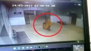 Search on for stolen baby boy