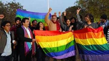 Supreme Court decriminalises consensual gay sex