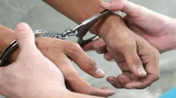 Sex racket busted in city; kingpin held