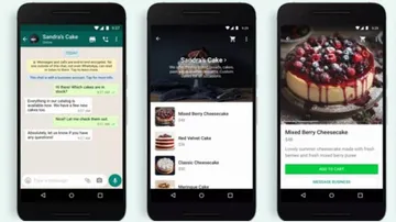 WhatsApp Shopping Button Now Live In India