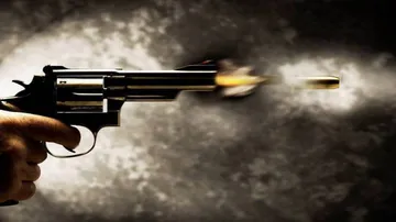 Judge's wife, son shot dead by security guard