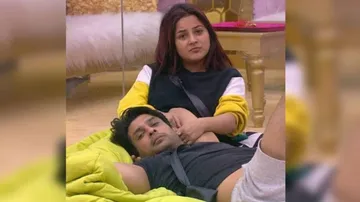 Sidharth Shukla, Shehnaaz Gill Trend as Her Love Confession Completes a Year